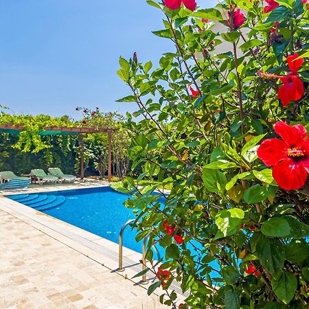 Paradise Town Villa Royal 베렉 외부 사진