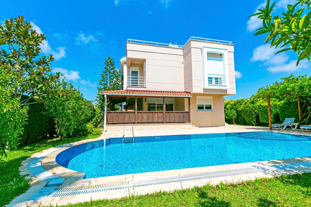 Paradise Town Villa Royal 베렉 외부 사진