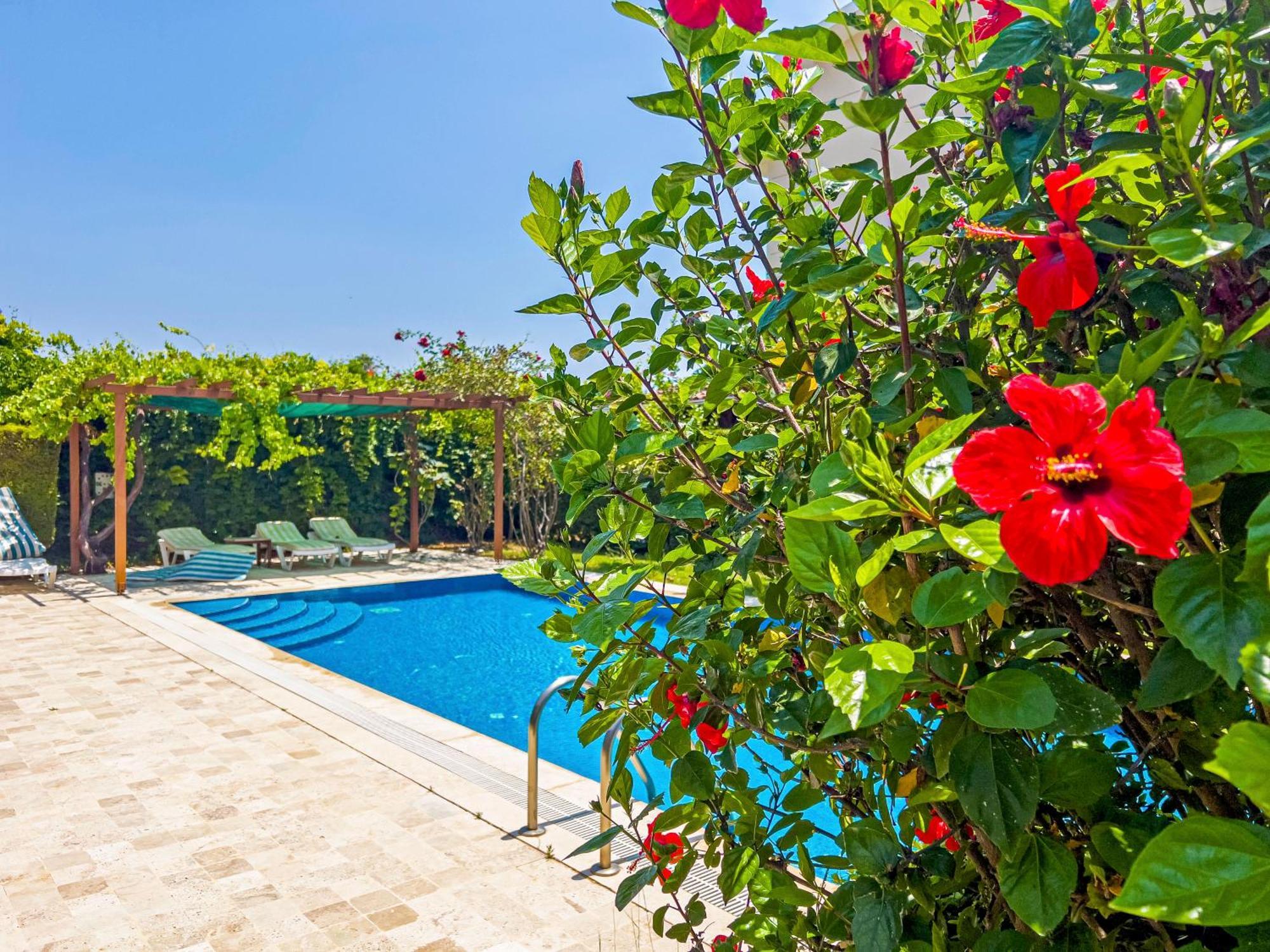 Paradise Town Villa Royal 베렉 외부 사진